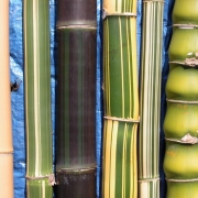 Peerless Bamboo Coloured Poles
