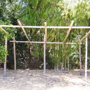 Peerless Bamboo Poles