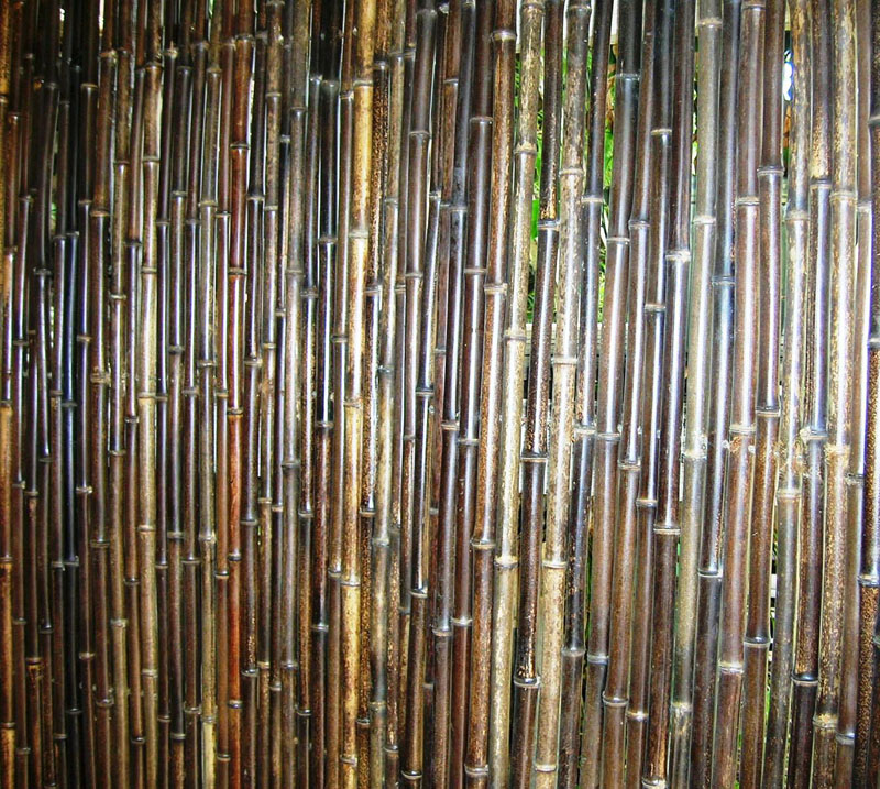 bamboo australia 187 bamboo fences screens trellises bamboo australia 187 bamboo fences screens trellises