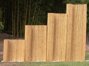 Bamboo Fencing