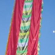 Our Bamboo Poles For Flags At Womadelaide