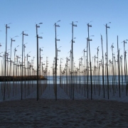 Peerless Bamboo Poles
